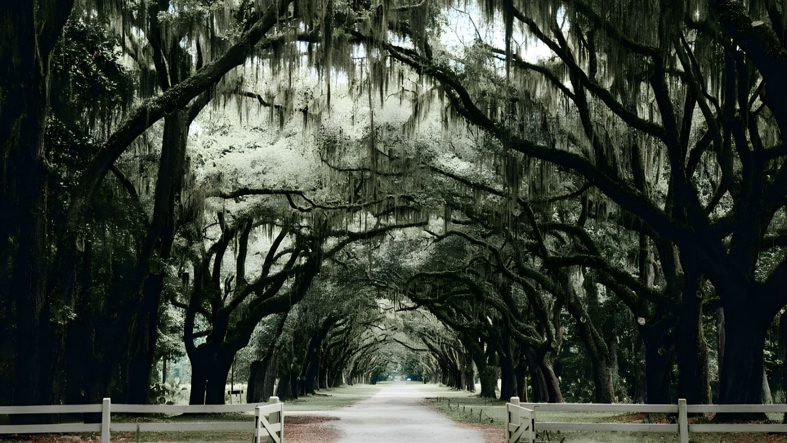 Self-Guided Walking Tour of Savannah: Plan It Yourself