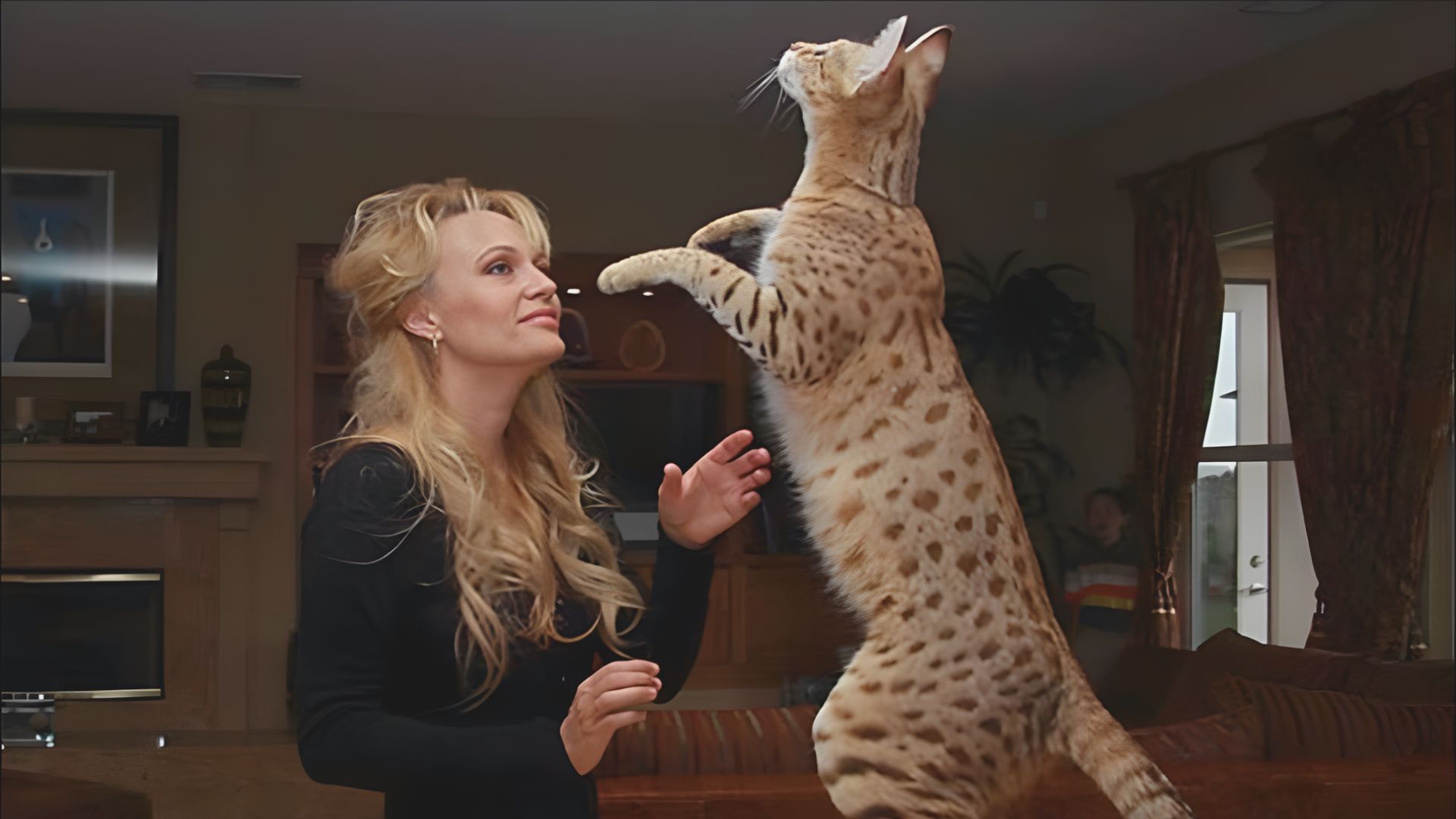 Savannah Cat Size: Height, Weight & Growth Explained - MakeSavannah