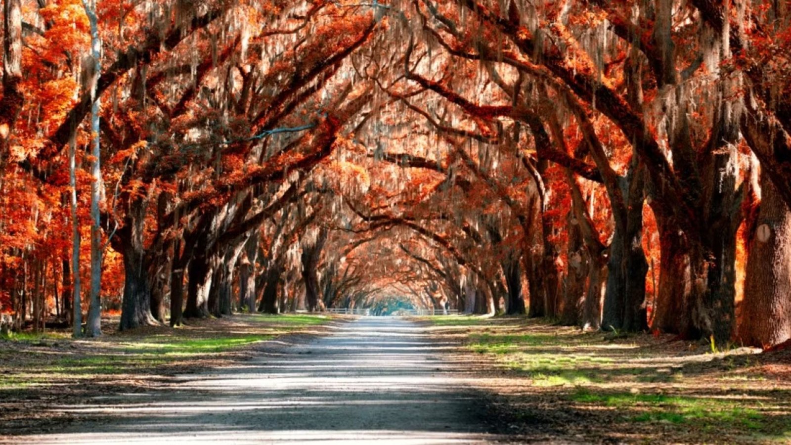 Savannah Georgia in October: Festivals, Weather & Tips