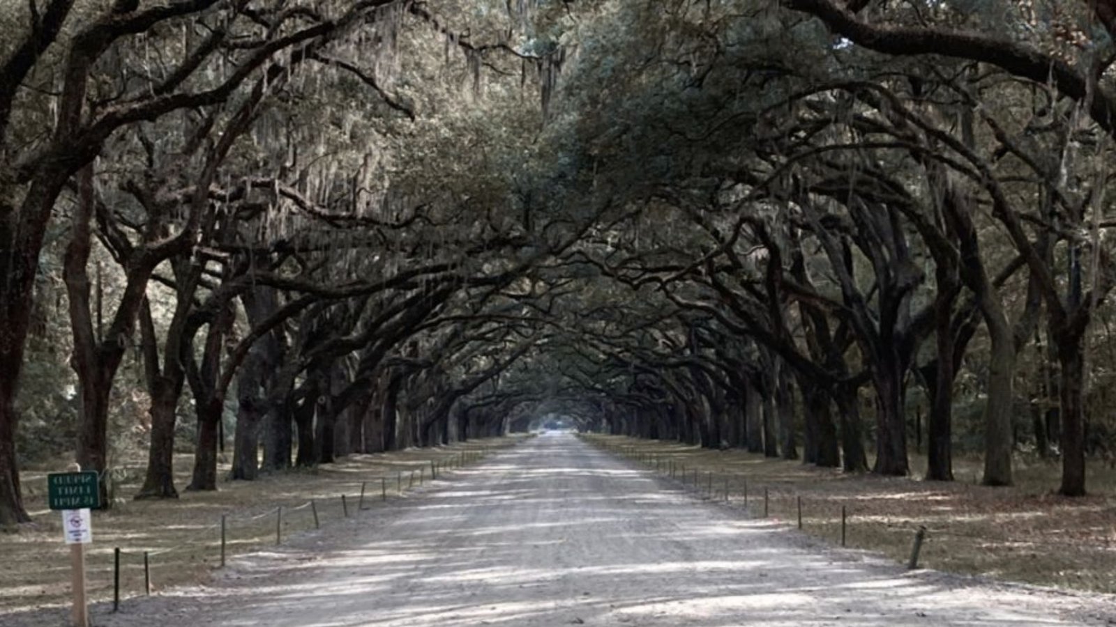 Beaufort SC to Savannah GA: What to Know Before You Go