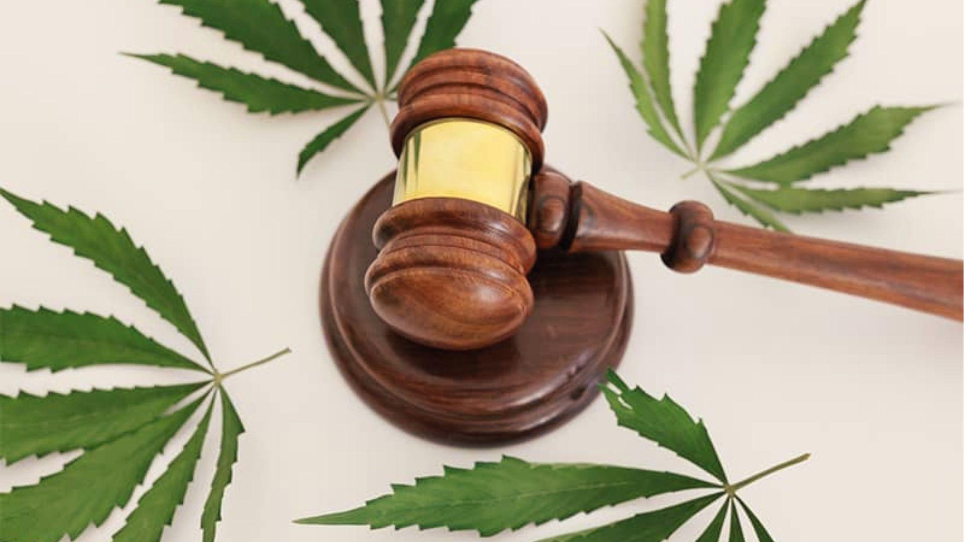 Wooden gavel surrounded by cannabis leaves symbolizing legal debate on synthetic marijuana in Georgia.