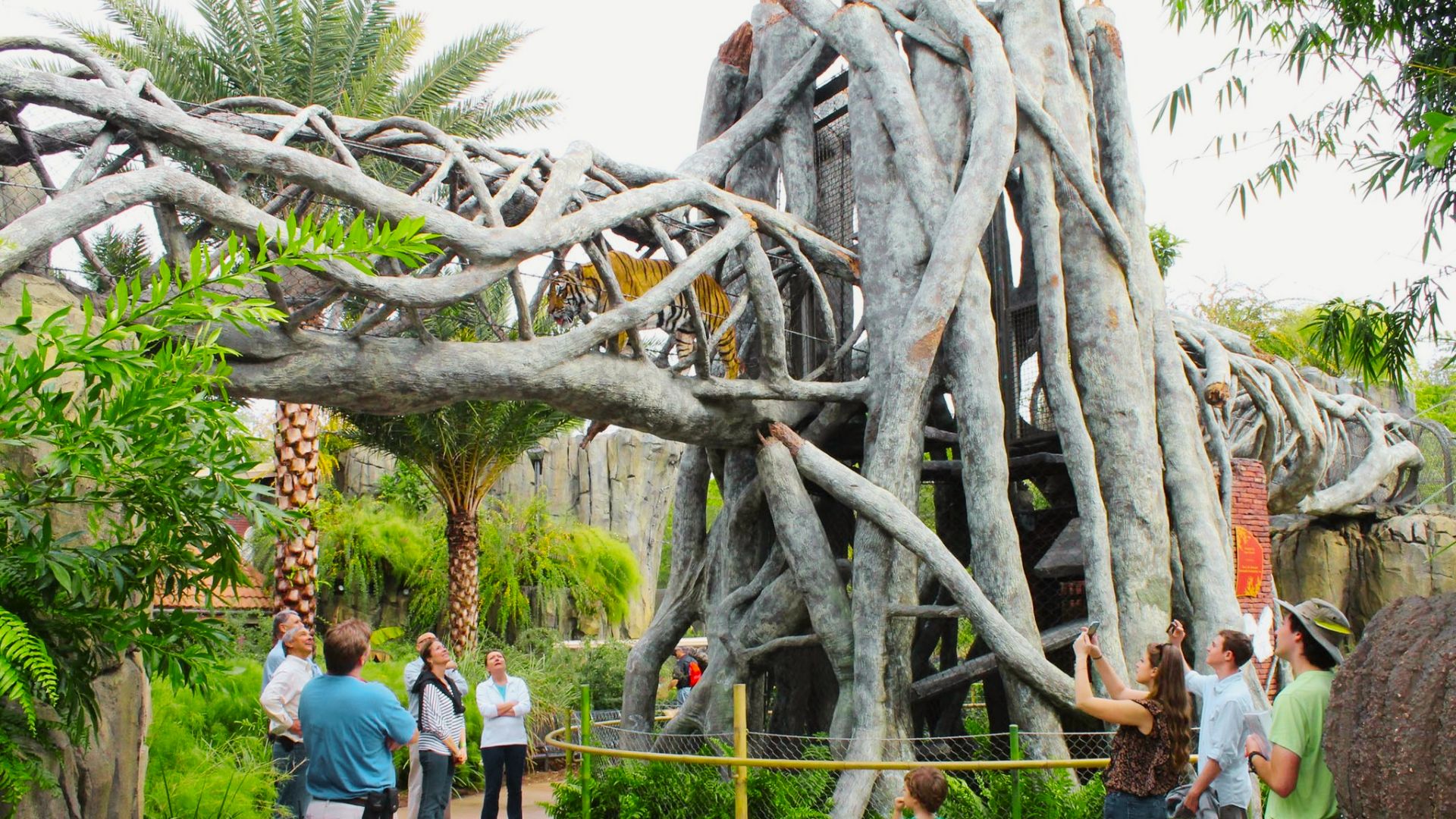 picture of Jacksonville Zoo.