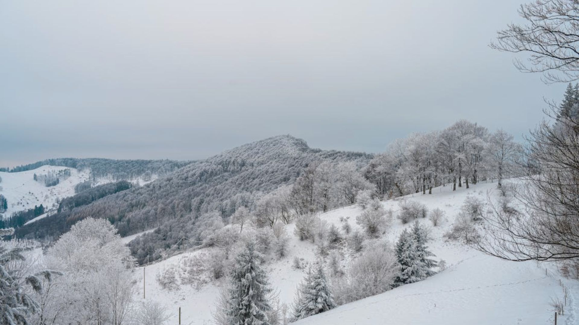 Snowfall in North Georgia during the winter season.