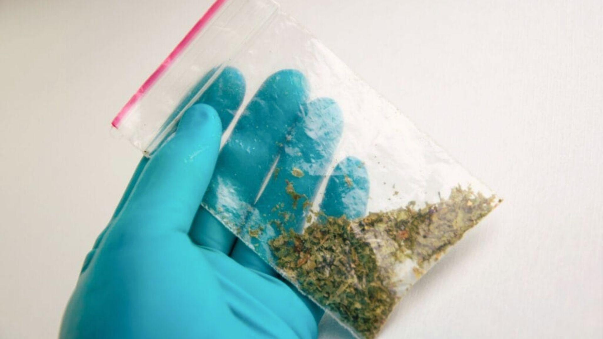 Gloved hand holding a small bag of dried plant material linked to synthetic marijuana policy in Georgia.