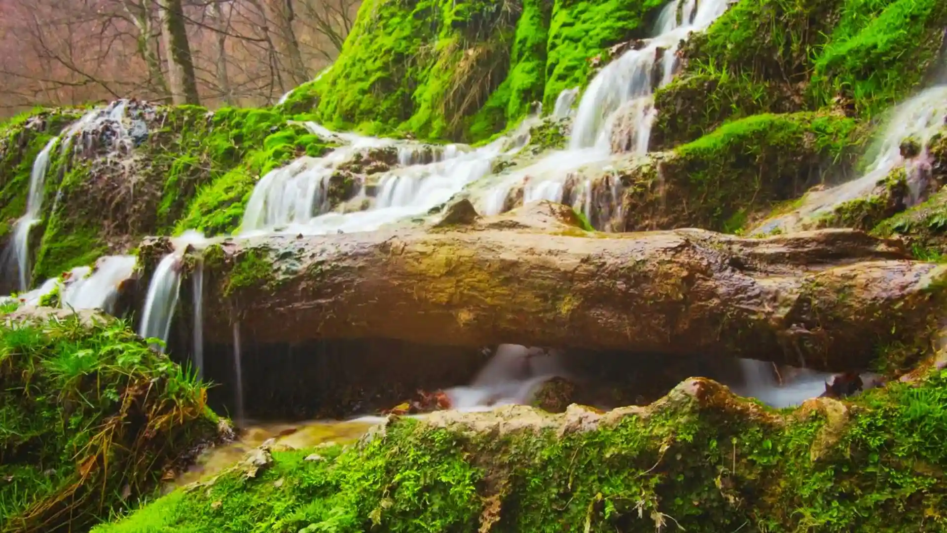 Minnehaha Falls cascading over mossy rock ledges.