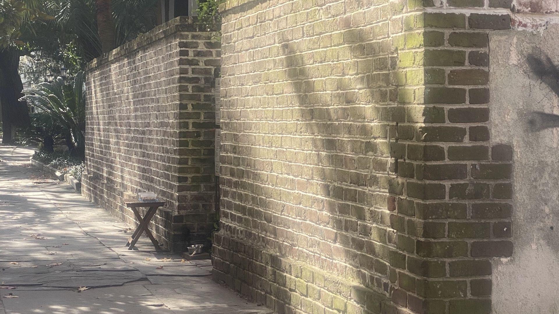 Sun-dappled brick garden wall along a historic Savannah sidewalk with palm fronds, seen on walking portions of Savannah Plantation Tours.