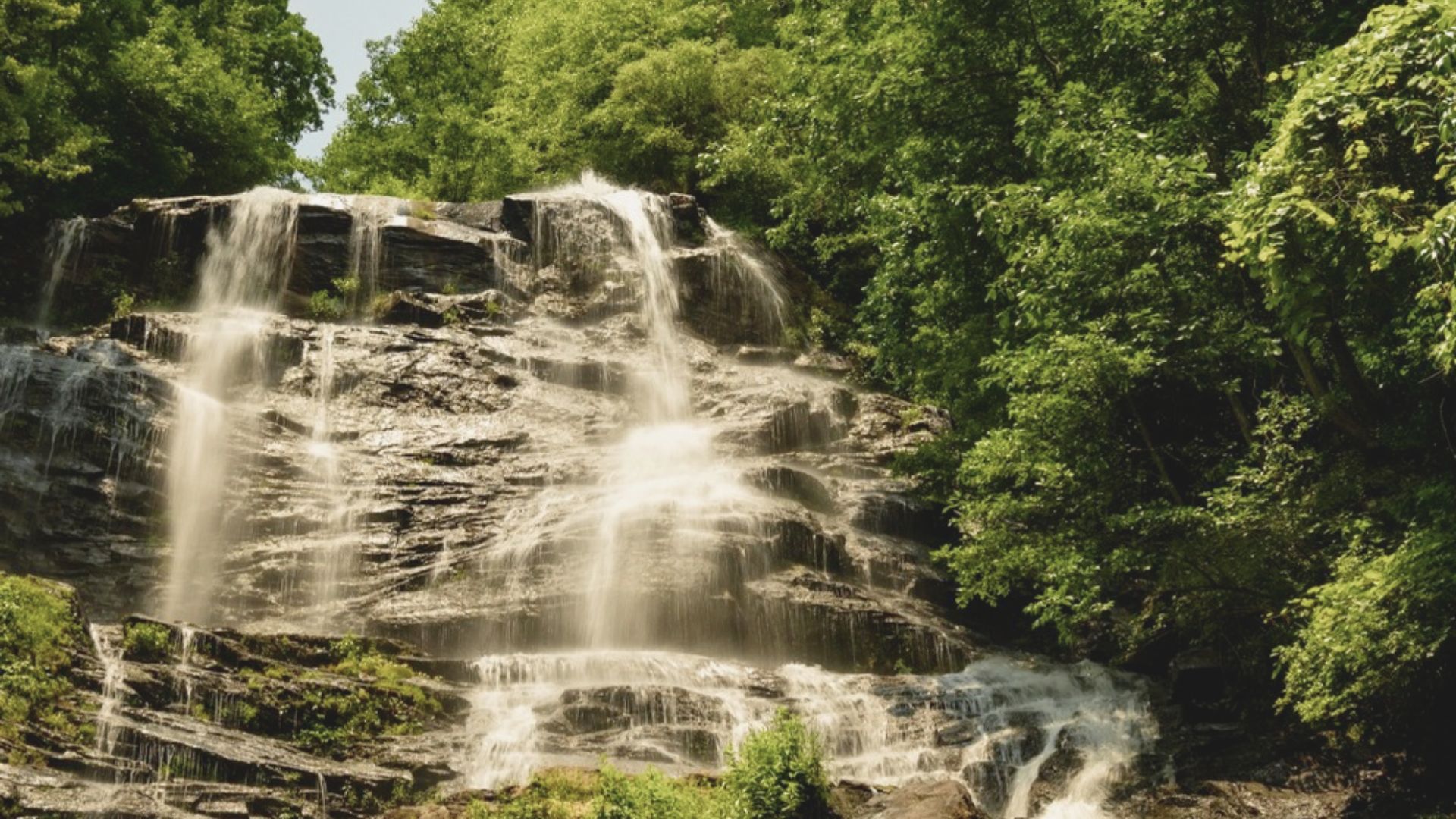 Scenic waterfall surrounded by lush forest in North Georgia's Blue Ridge Mountains.