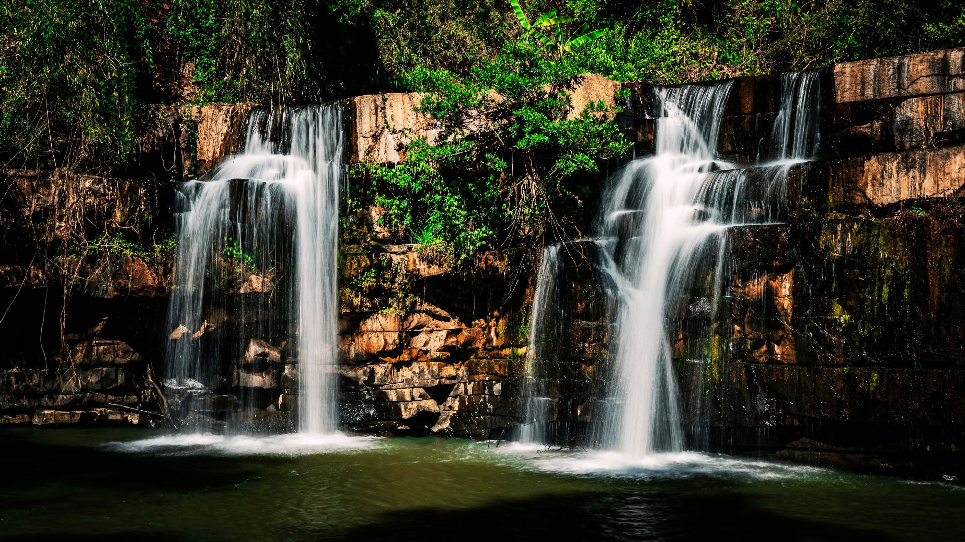 Twin cascades of Anna Ruby Falls surrounded by forest.