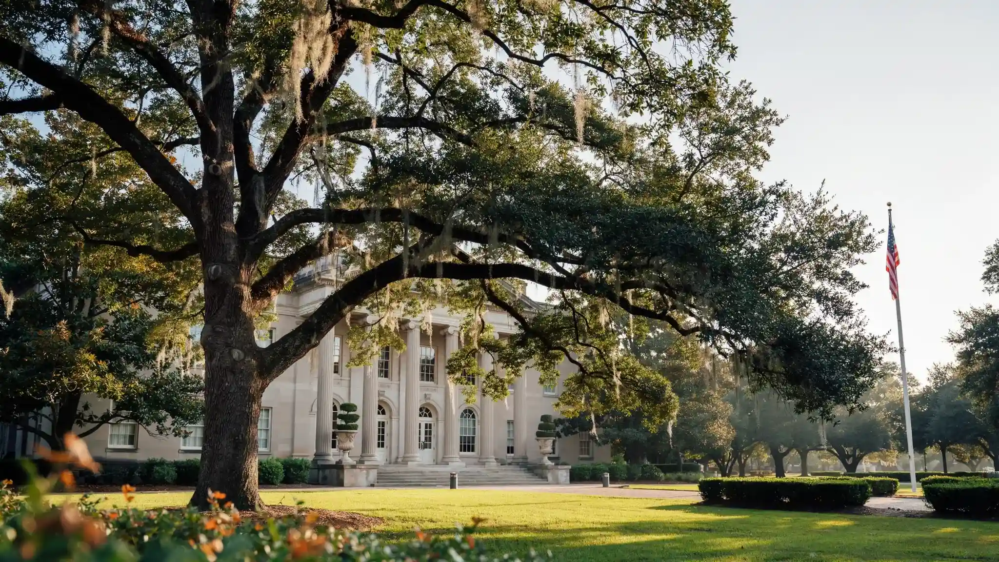 Live Oak tree representing its official designation as Georgi's state tree.
