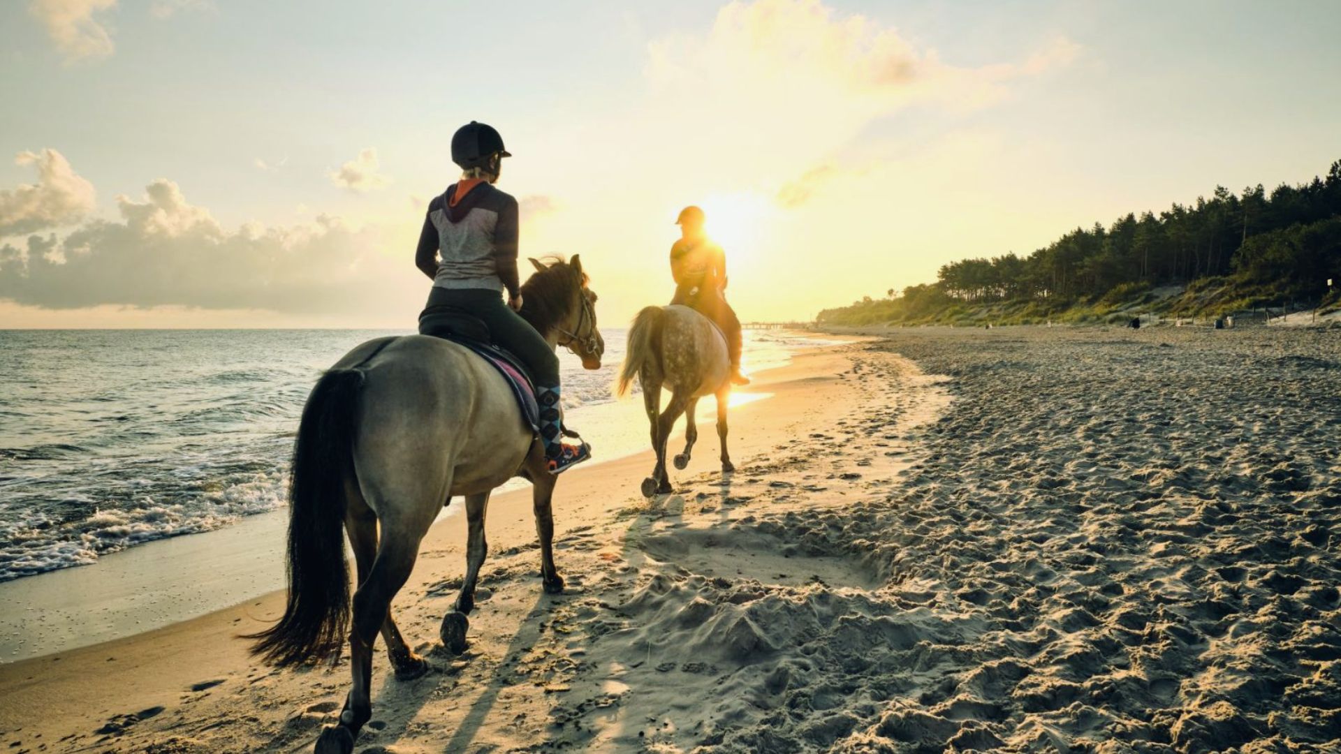 "Two people ride horses on a beach at sunset with ocean waves and trees along the shore."