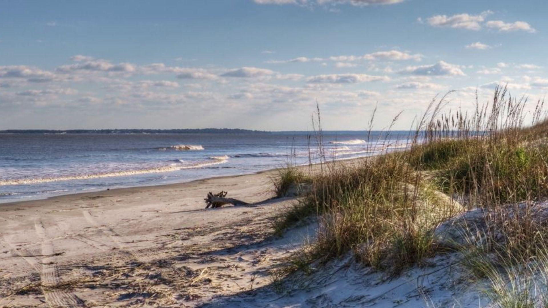 Sandy beach with sea oats and driftwood on Jekyll Island, a scenic stop when driving from Savannah Georgia