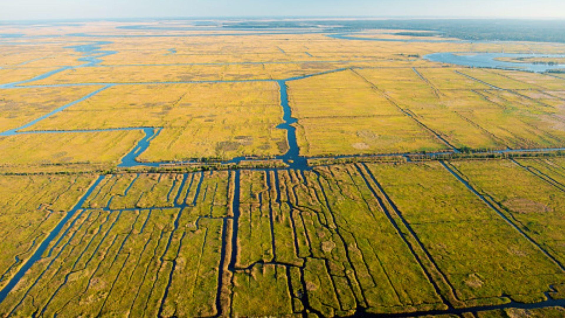 Aerial view of historic Lowcountry rice fields with tidal canals and golden marshes, showcasing plantation agriculture on Savannah Plantation Tours.