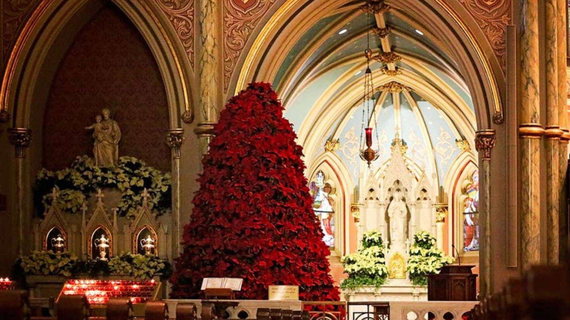 Savannah cathedral interior featuring tall poinsettia Christmas tree, Gothic arches, stained glass, and white holiday floral arrangements