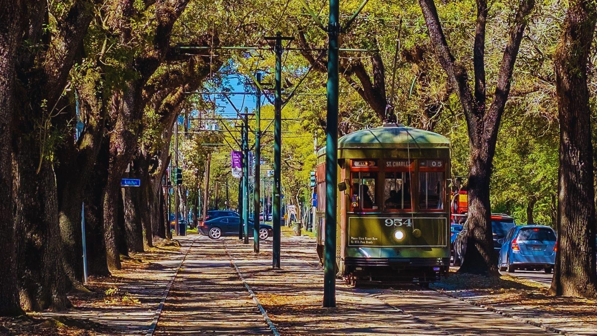 Green St. Charles Avenue streetcar 954 travels under oak canopy on sunny day with tracks, Audubon sign visible