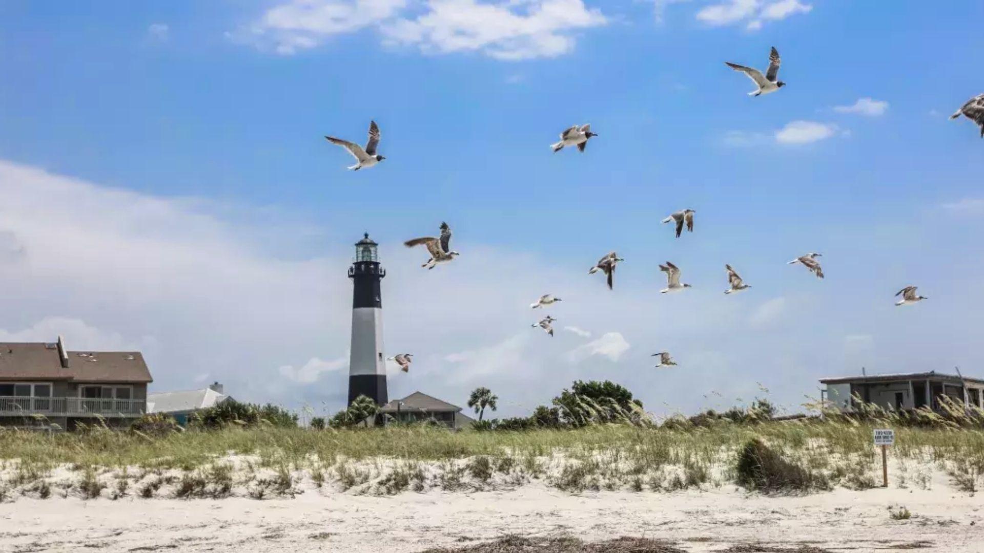 Aerial view of Tybee Island North side