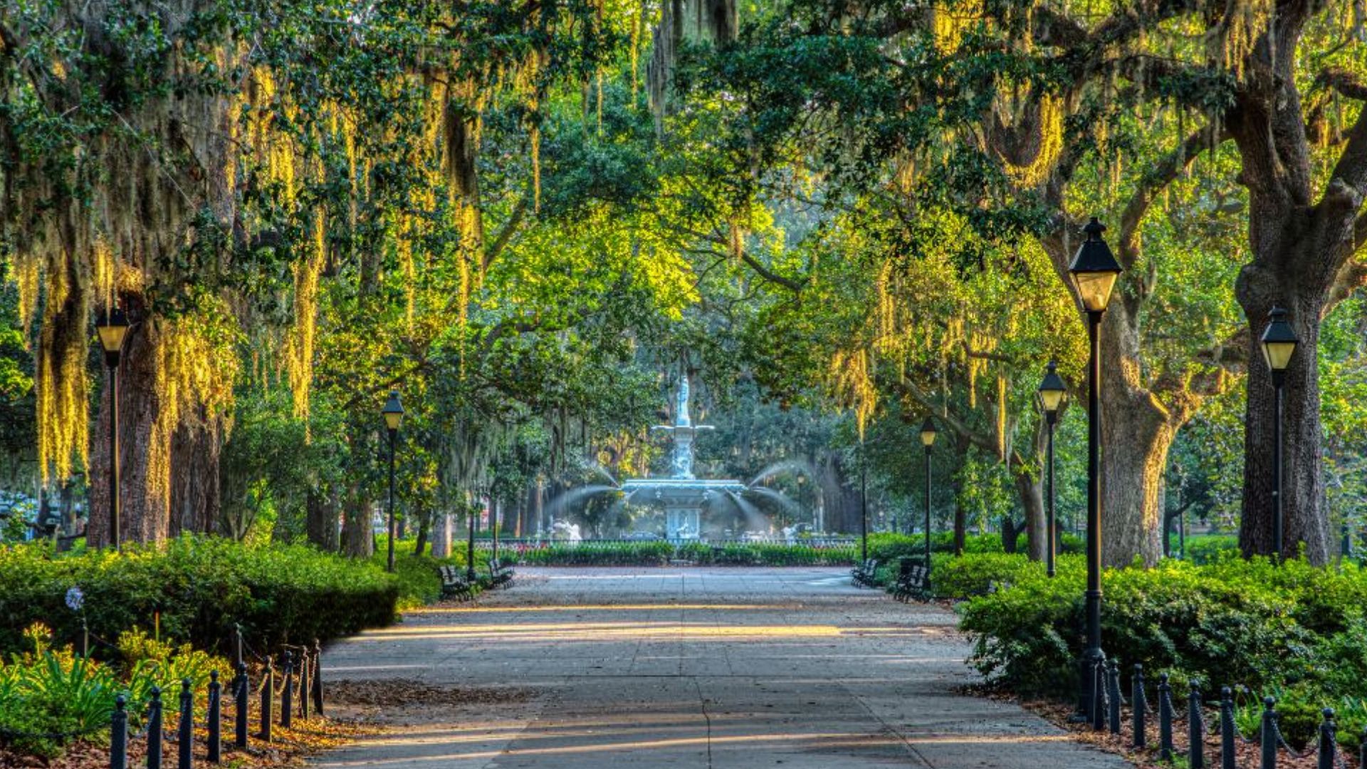 Tree-lined path with Spanish moss and historic lamp posts leading to the Forsyth Park fountain in Savannah, Georgia at golden hour
