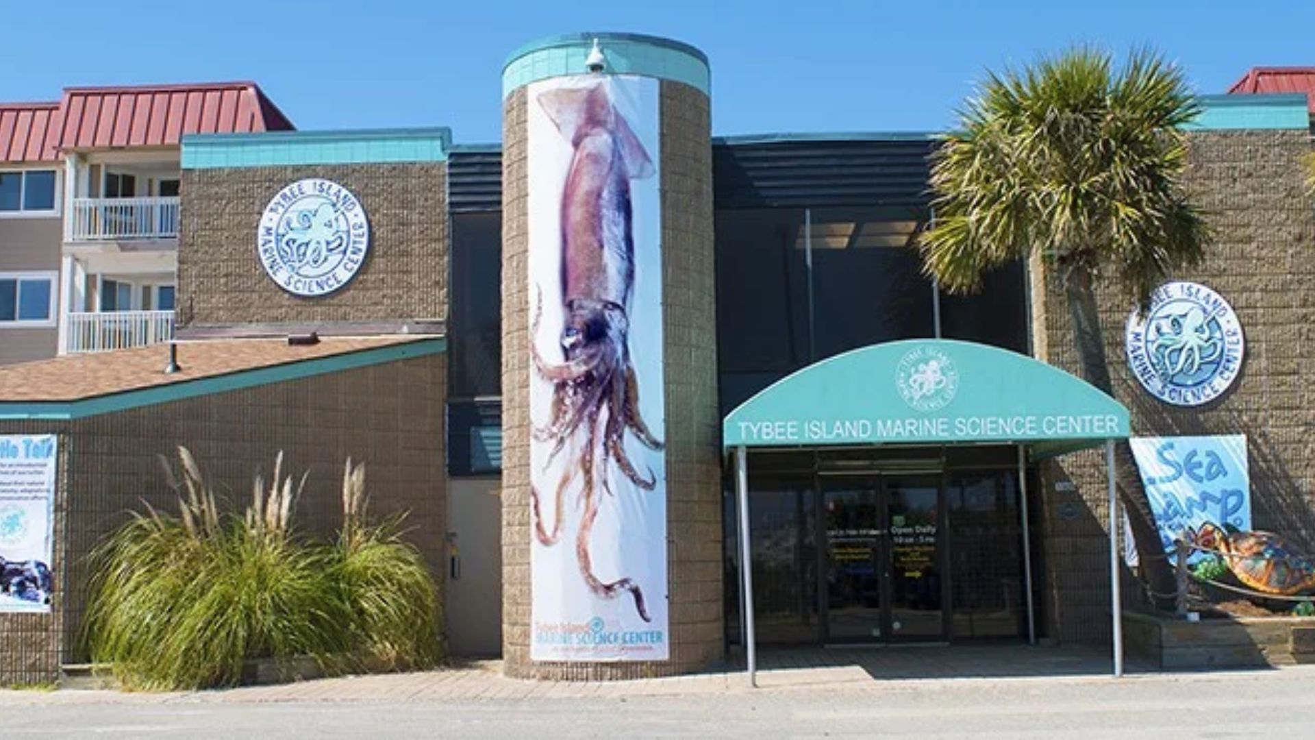 Tybee Island Marine Science Center entrance features a large squid mural beside palm trees and exhibits.