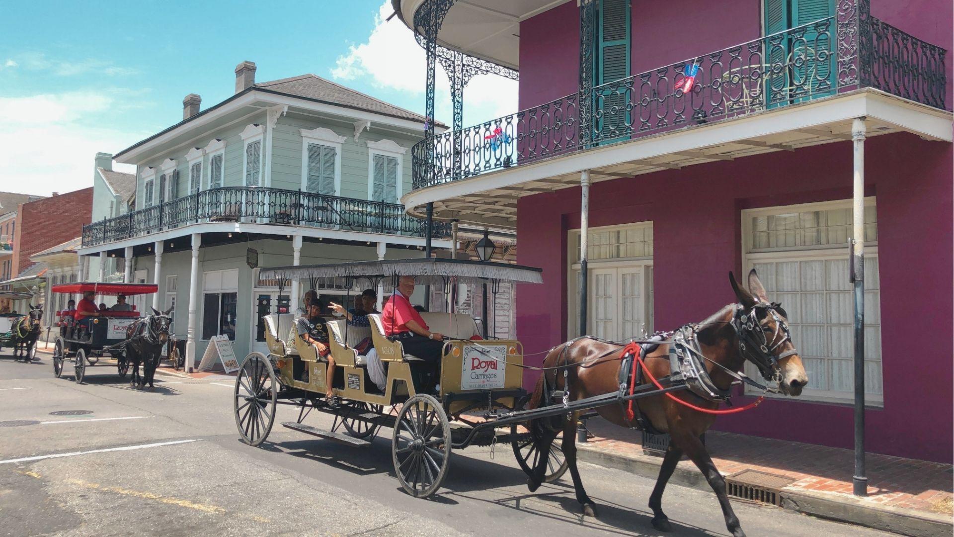 Take a mule-drawn carriage tour past pastel buildings in the French Quarter.