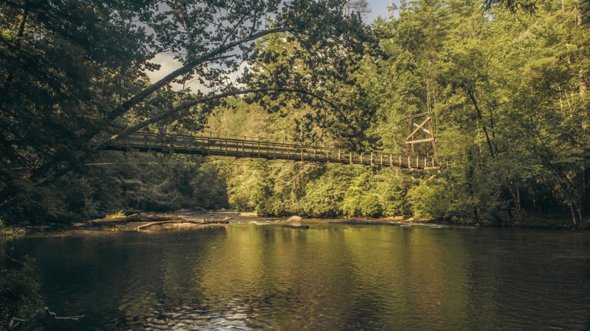 Suspension bridge along Benton MacKaye Trail crossing a calm river surrounded by tall forest trees.