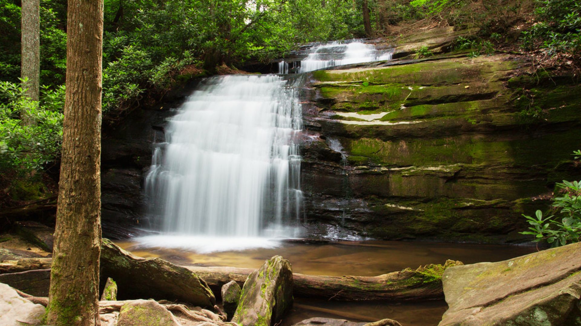 Long Creek Falls flows over mossy rocks into a calm pool surrounded by green forest.