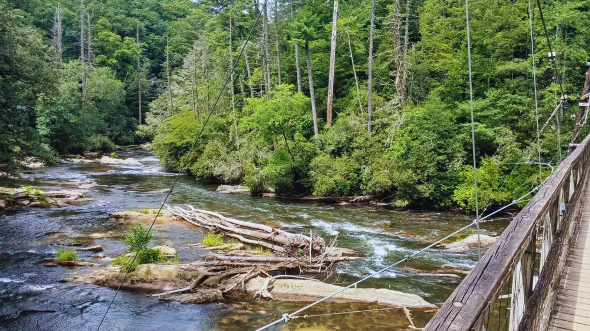Wooden bridge crosses a flowing river beside green trees along the scenic Duncan Ridge Trail.