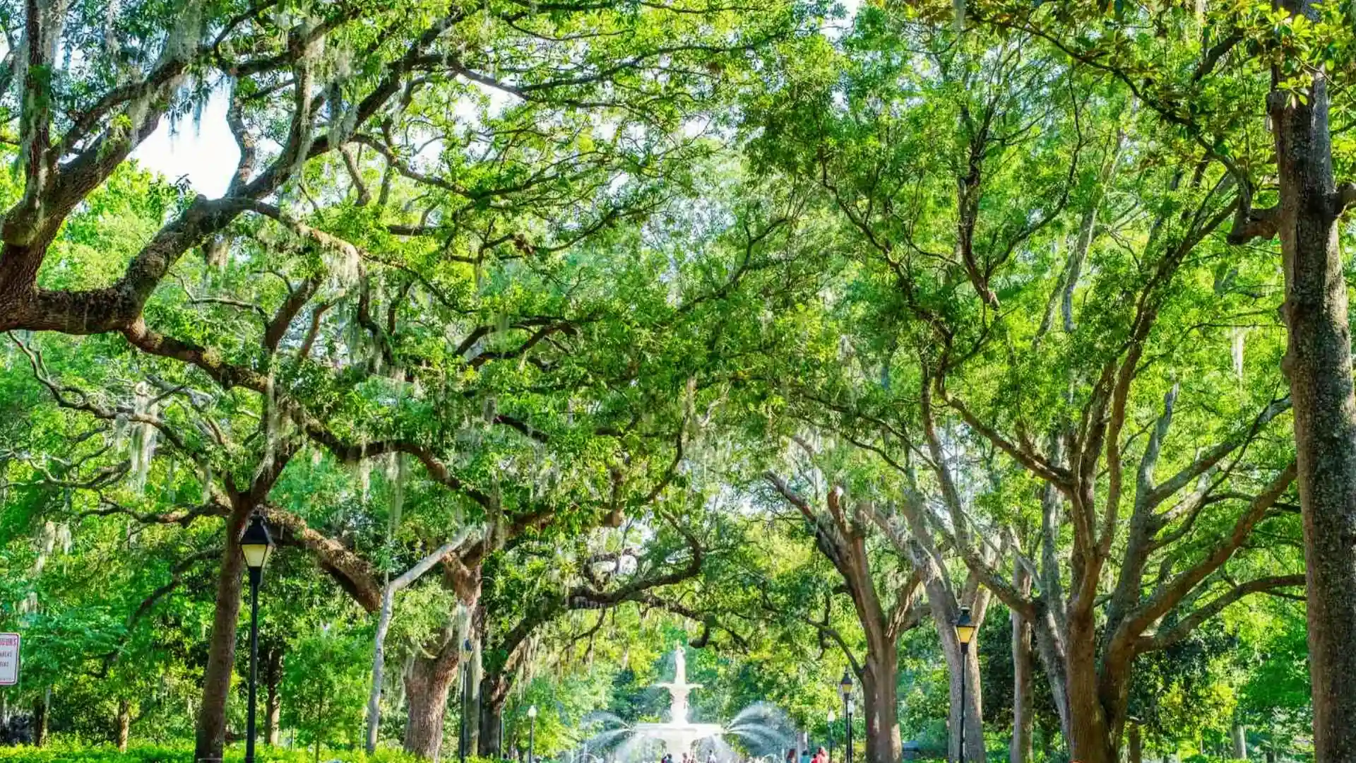 Forsyth Park fountain framed by live oaks with Spanish moss in Savannah, GA.