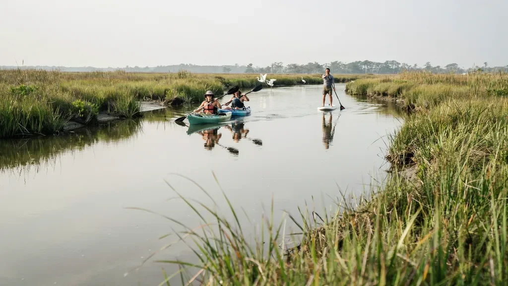 Kayakers and paddleboarders exploring Hilton Head waterways.