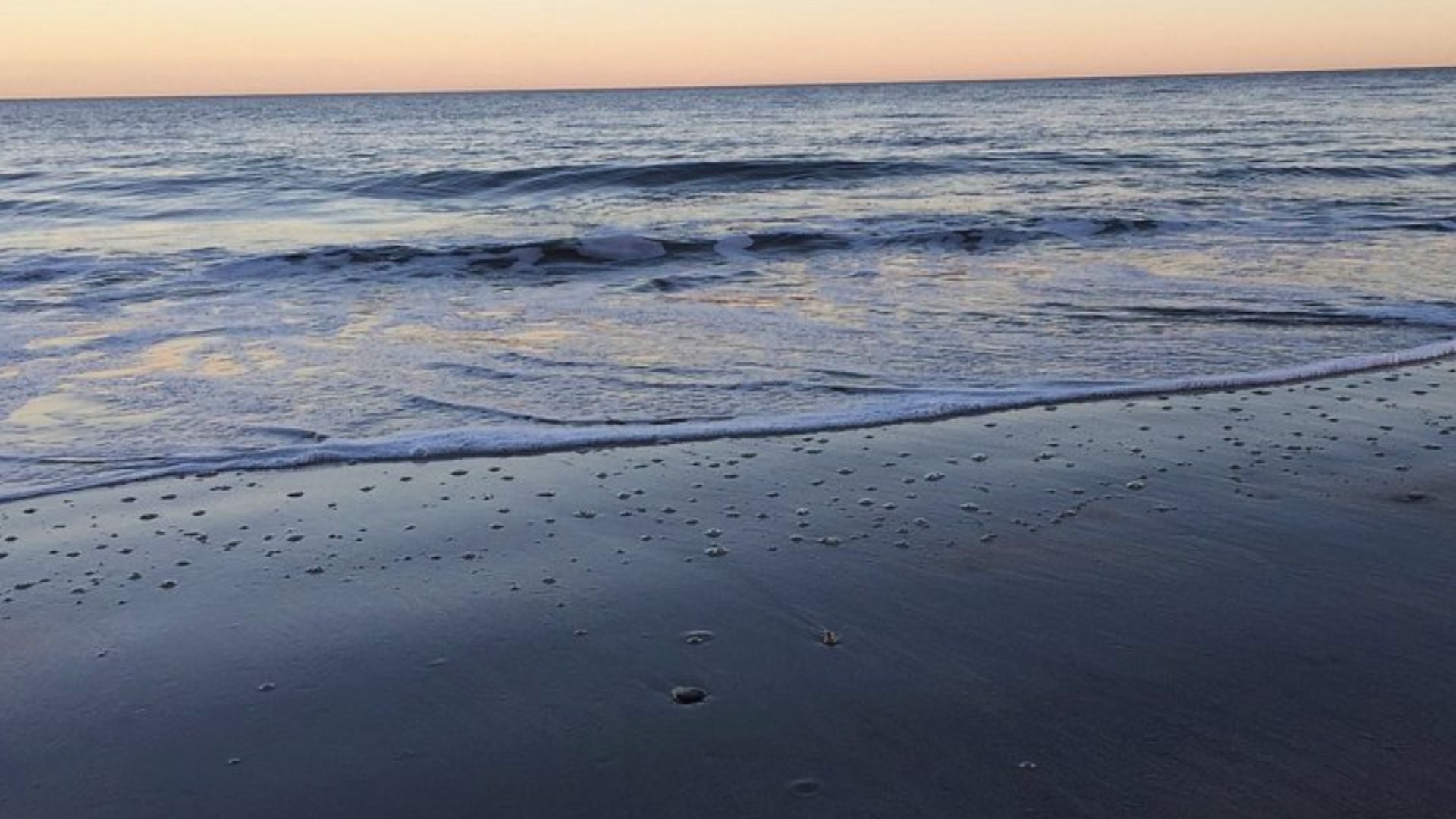 Calm ocean waves wash onto a wet sandy shore at Islanders Beach Park.