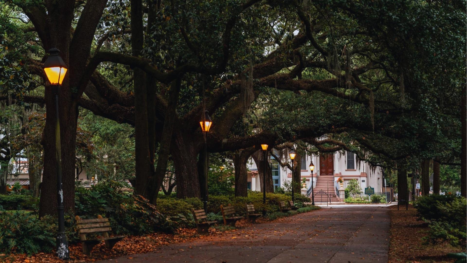 Evening stroll under mossy oaks and glowing lamps in a quiet Savannah square.
