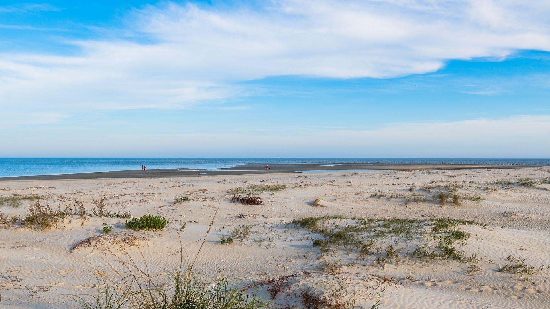 Image of St. Simons Island