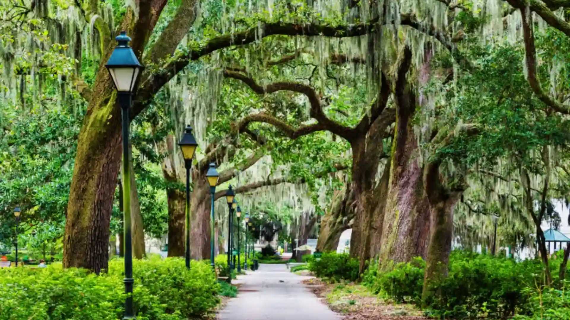 Gordon Monument seen through live oak trees and azalea bushes in Wright Square, Savannah.