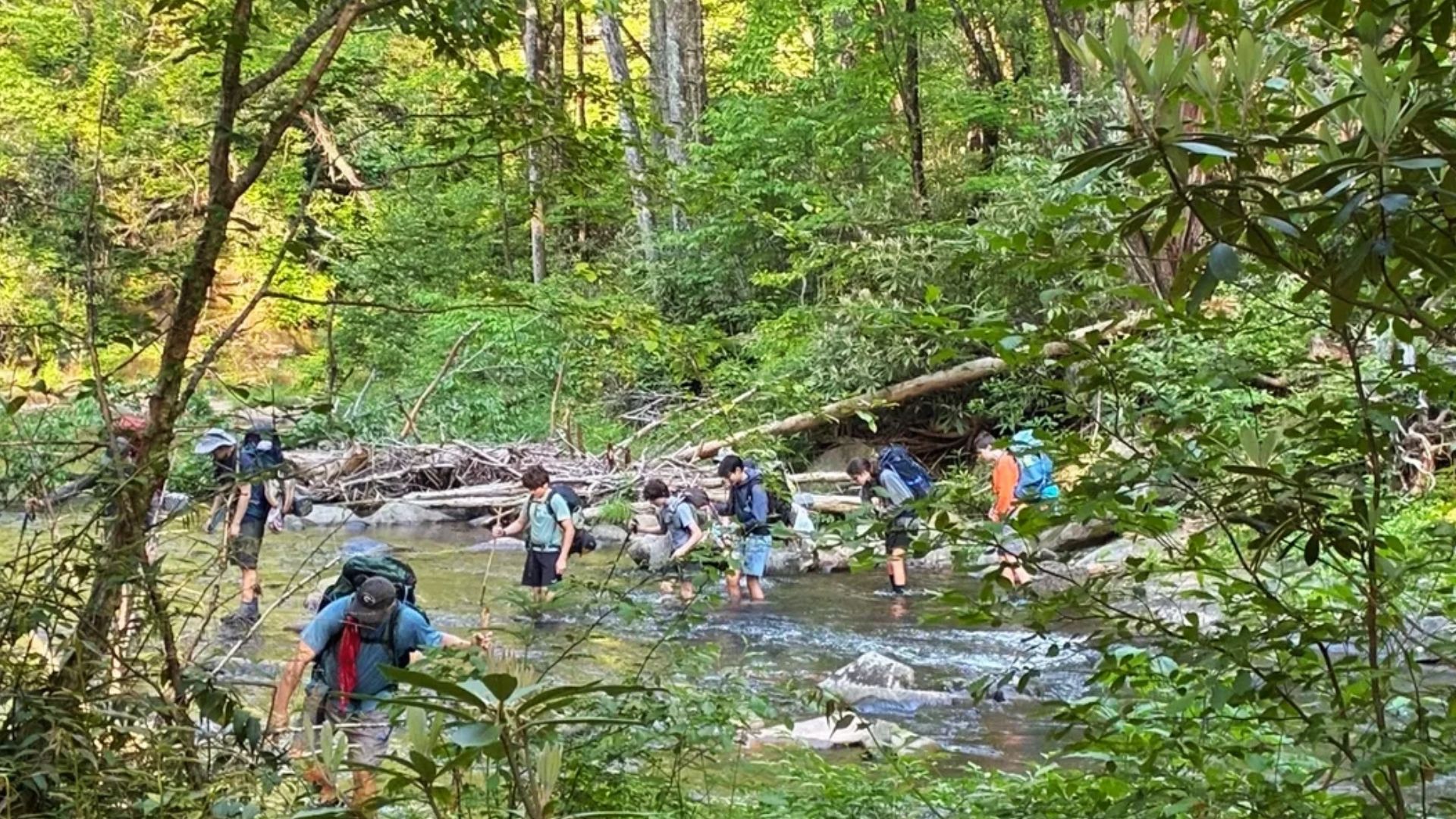 Hikers cross a shallow stream along Hemp Top Trail surrounded by lush forest trees nearby.