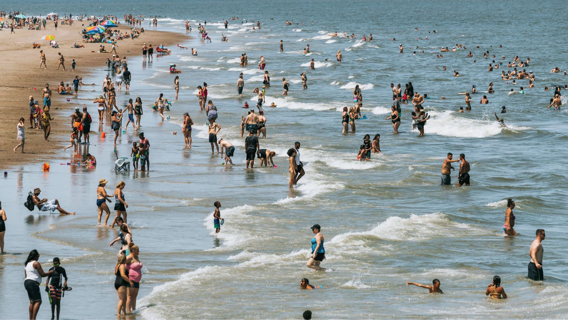 People swim and play in shallow waves along South Beach on a warm sunny afternoon.