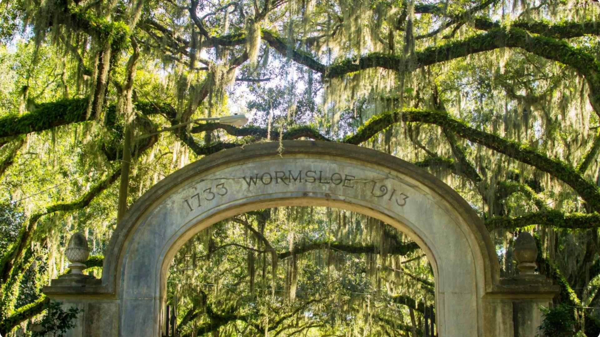 Wormsloe Historic Site entrance framed by majestic oak trees draped with Spanish moss.