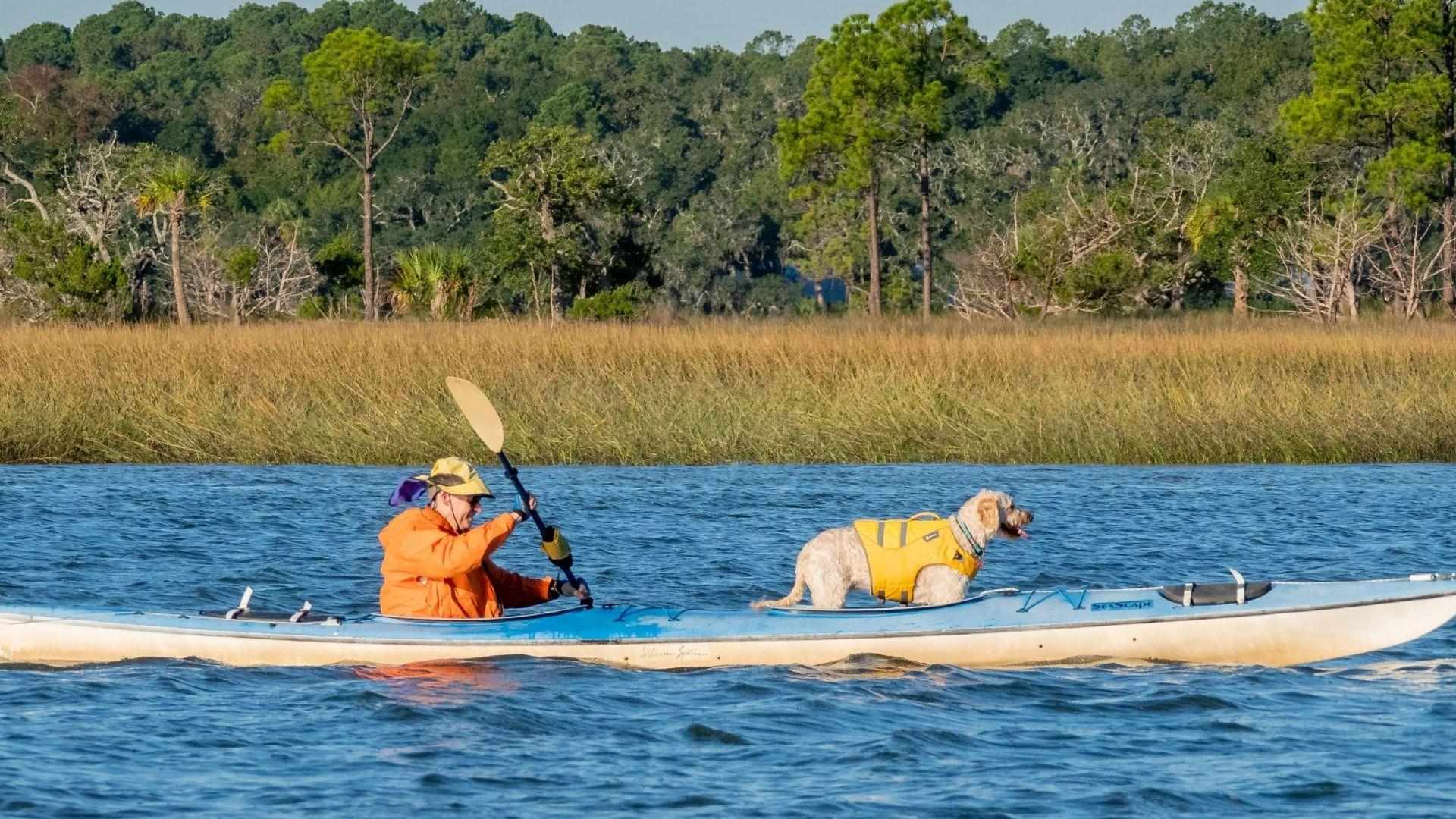 Person kayaking with dog in life jacket on Savannah marsh