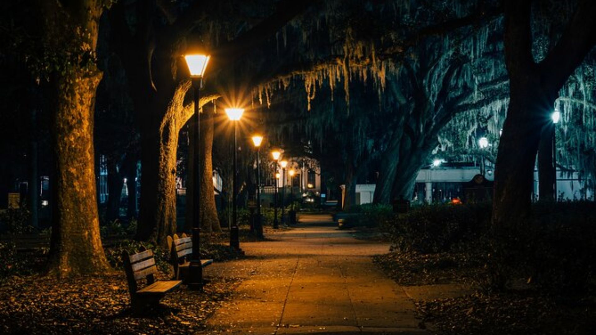 Dark park pathway at night lined with glowing lampposts, benches, and large oak trees draped in Spanish moss.