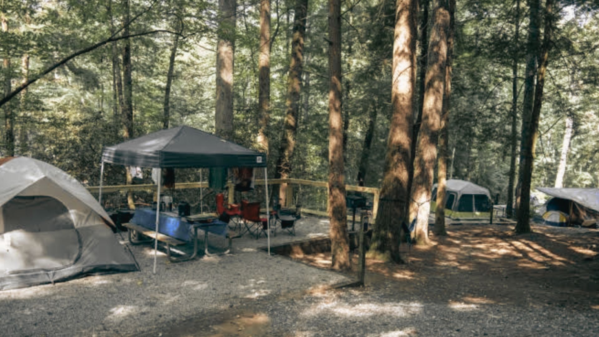 Several tents and a canopy shelter sit among tall trees at a shaded forest campground.