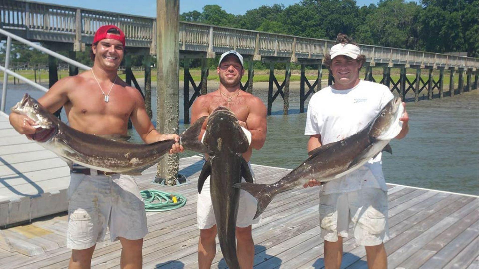 3 men holding different types of fishes on sea shore.