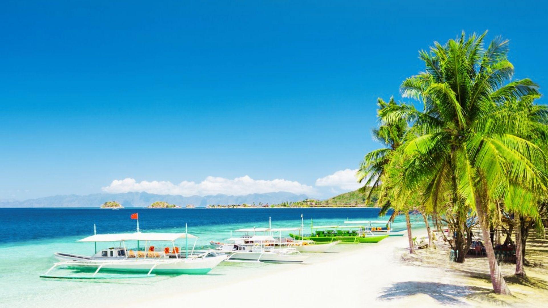 Tropical beach with white sand, palm trees, and boats
