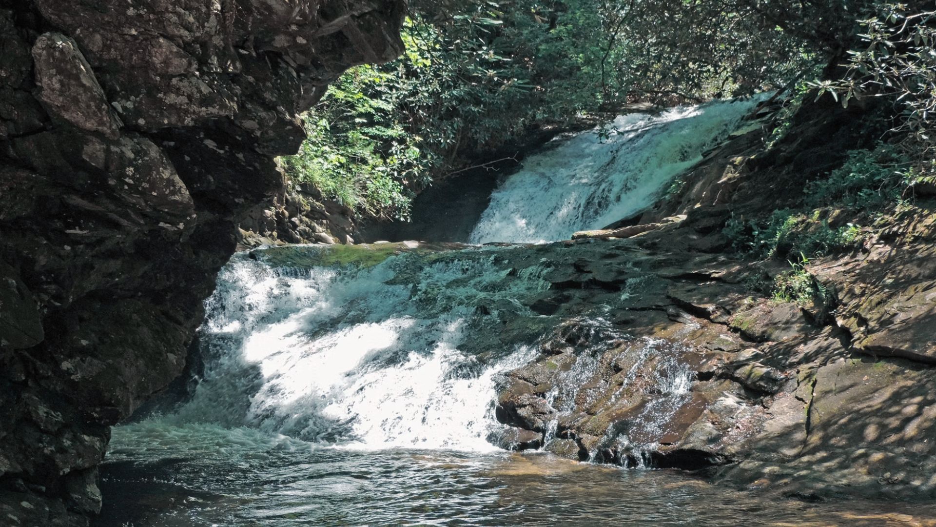 Sea Creek Falls flows over dark rocks into a small pool surrounded by trees and forest plants.