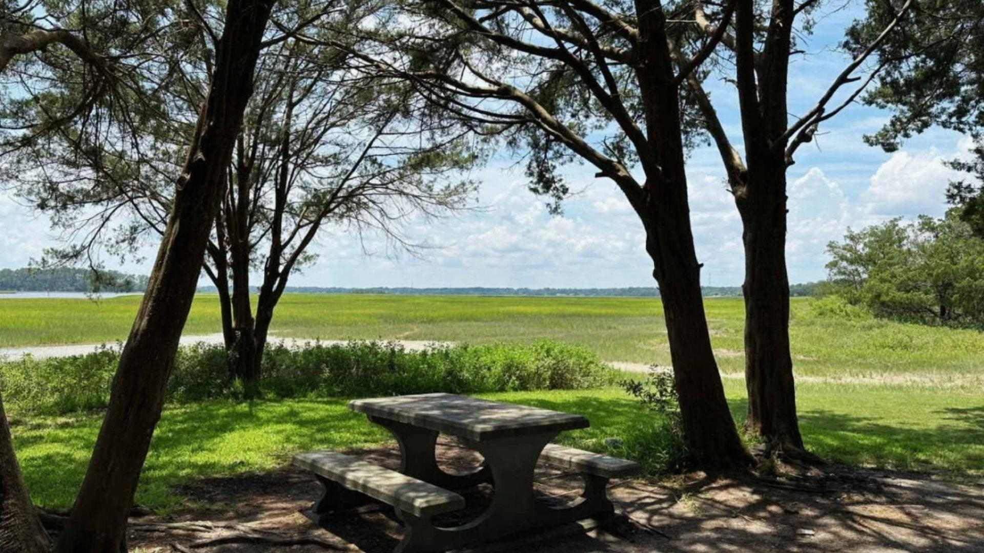 Shaded picnic table with marsh view at Butterbean Beach Savannah GA