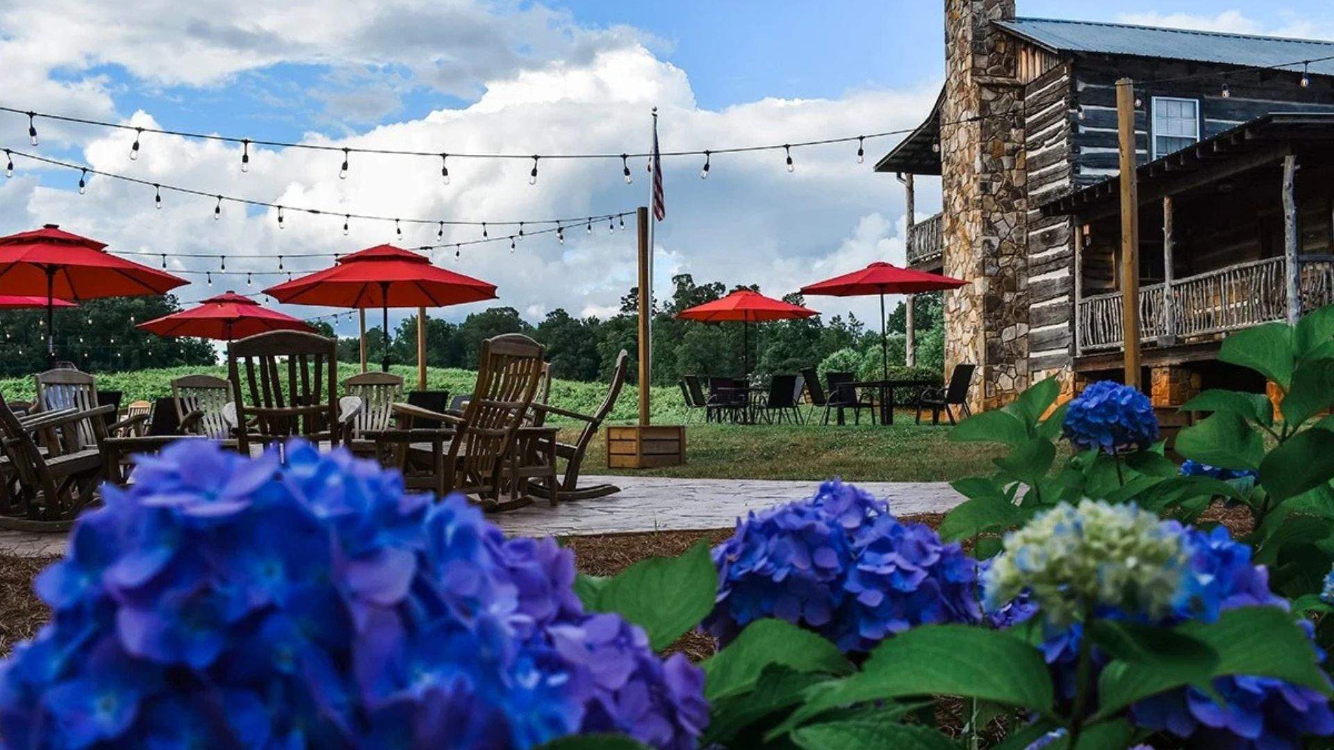 Outdoor area at Cavender Creek Vineyards with red umbrellas and blooming blue flowers, creating a relaxing atmosphere.