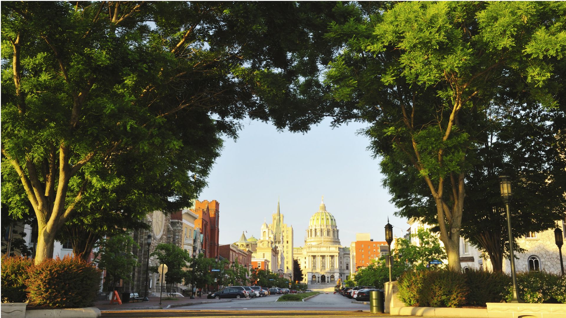 Tree-lined street leading to state capitol building representing Georgia Lemon Law jurisdiction