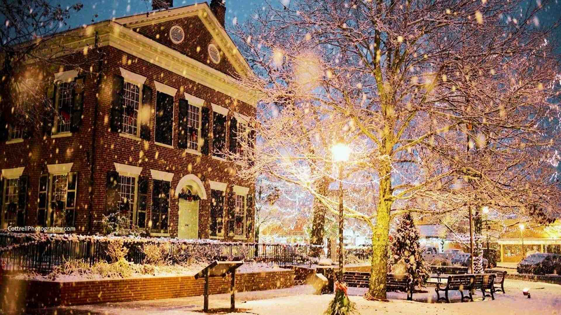 Seasonal Things to Do in Dahlonega, GA