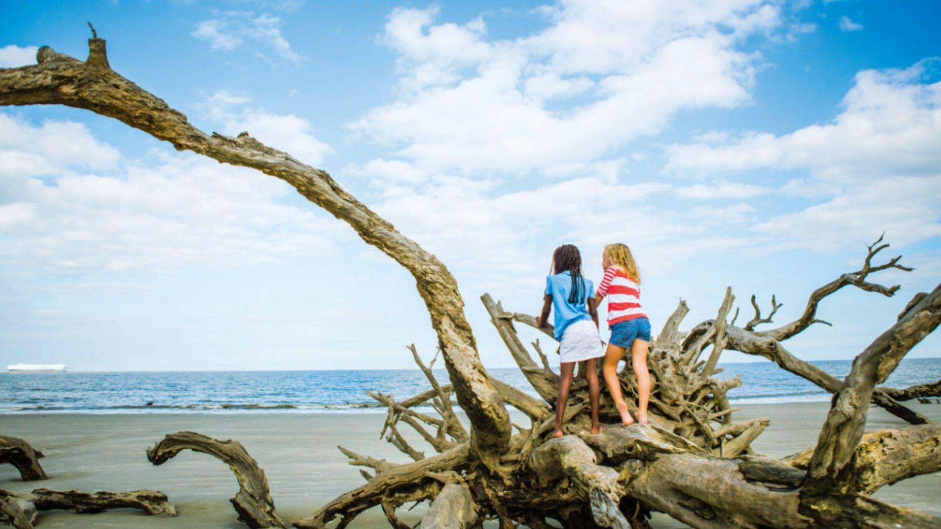 Two children standing on large driftwood log on sandy beach facing ocean under bright blue sky with clouds