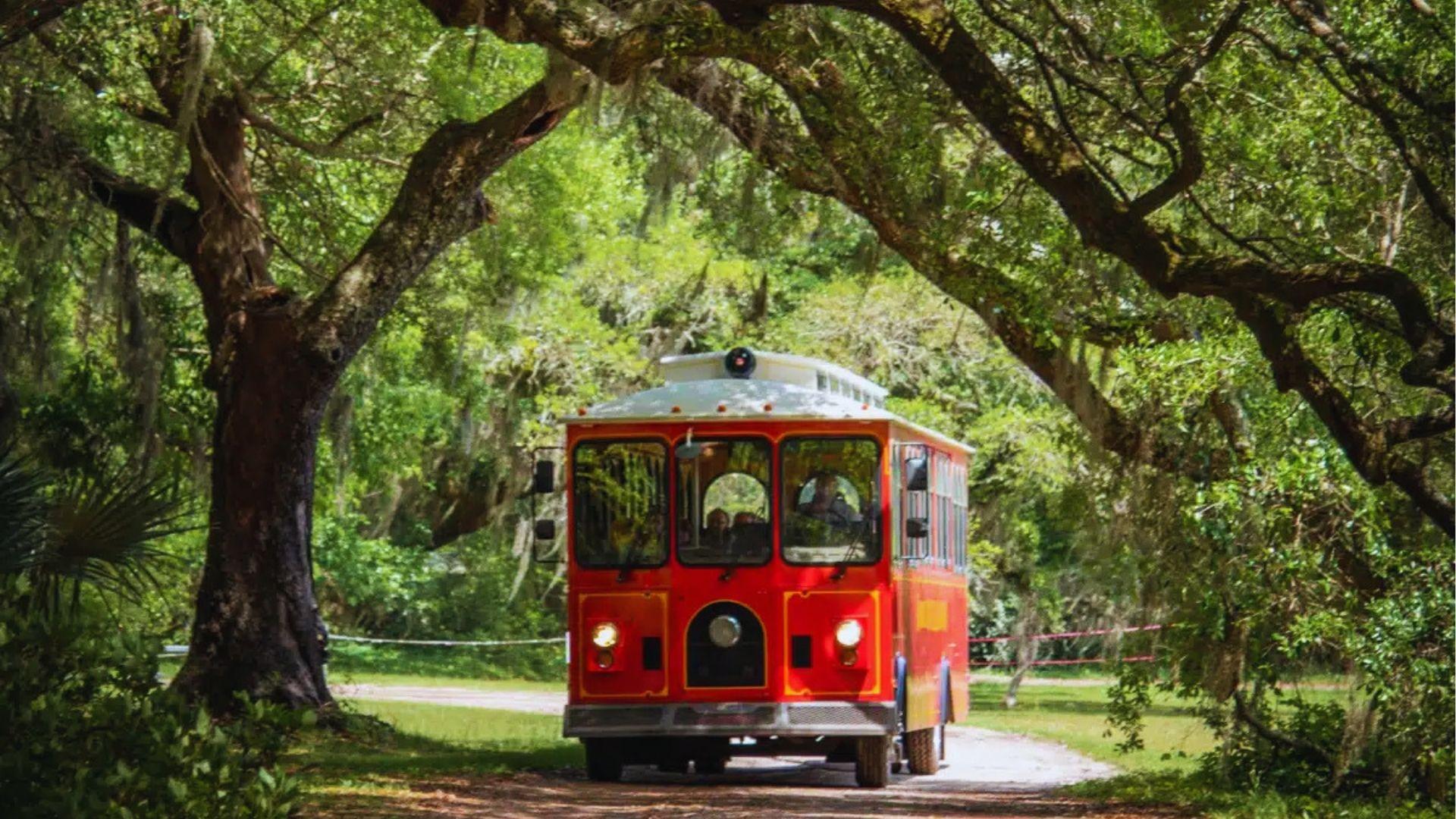 Bright red sightseeing trolley driving under moss-draped live oak canopy on sunny forest road today.