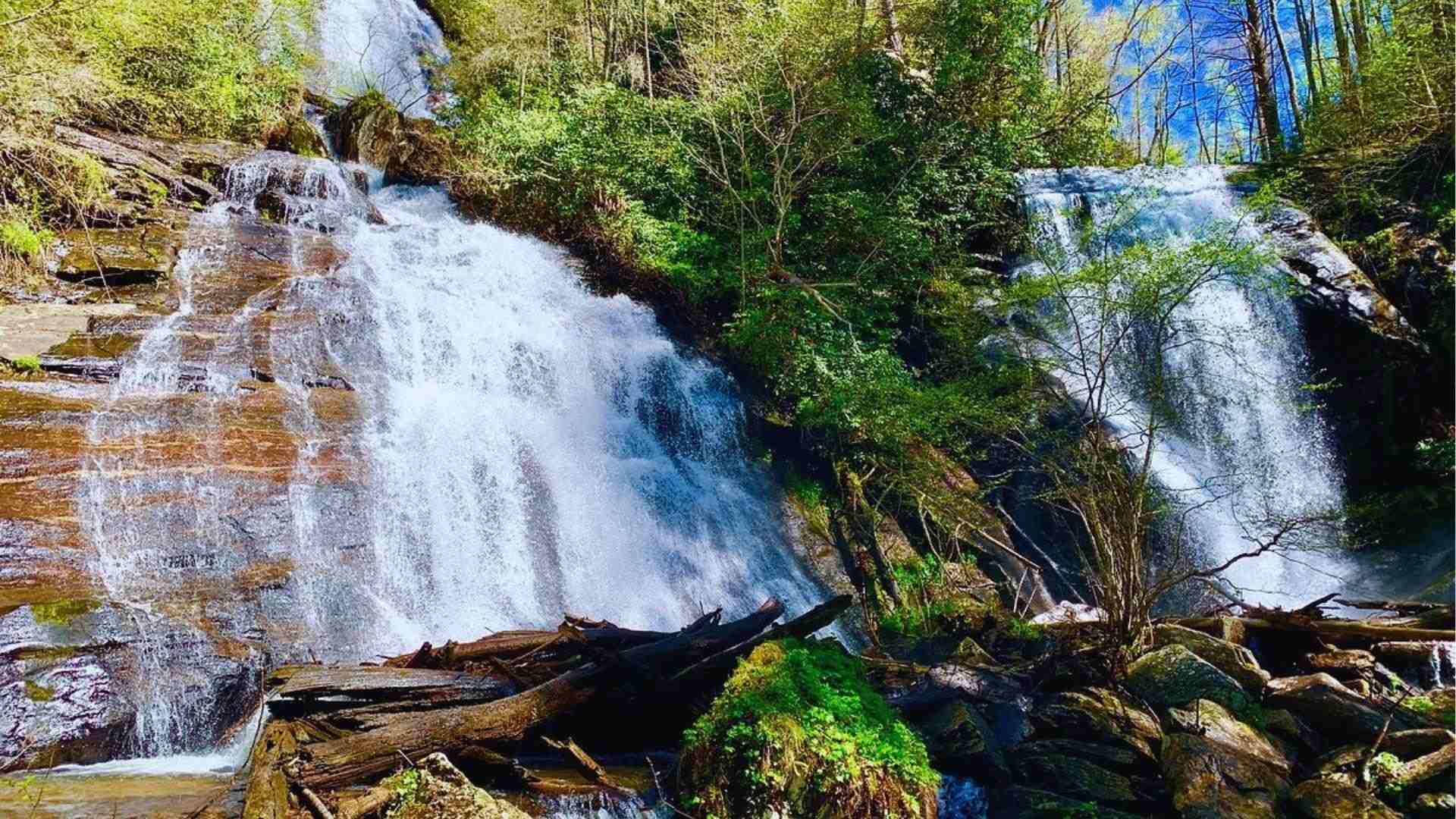 Cascading waterfall flowing over rocky ledges surrounded by lush green forest and fallen logs below.
