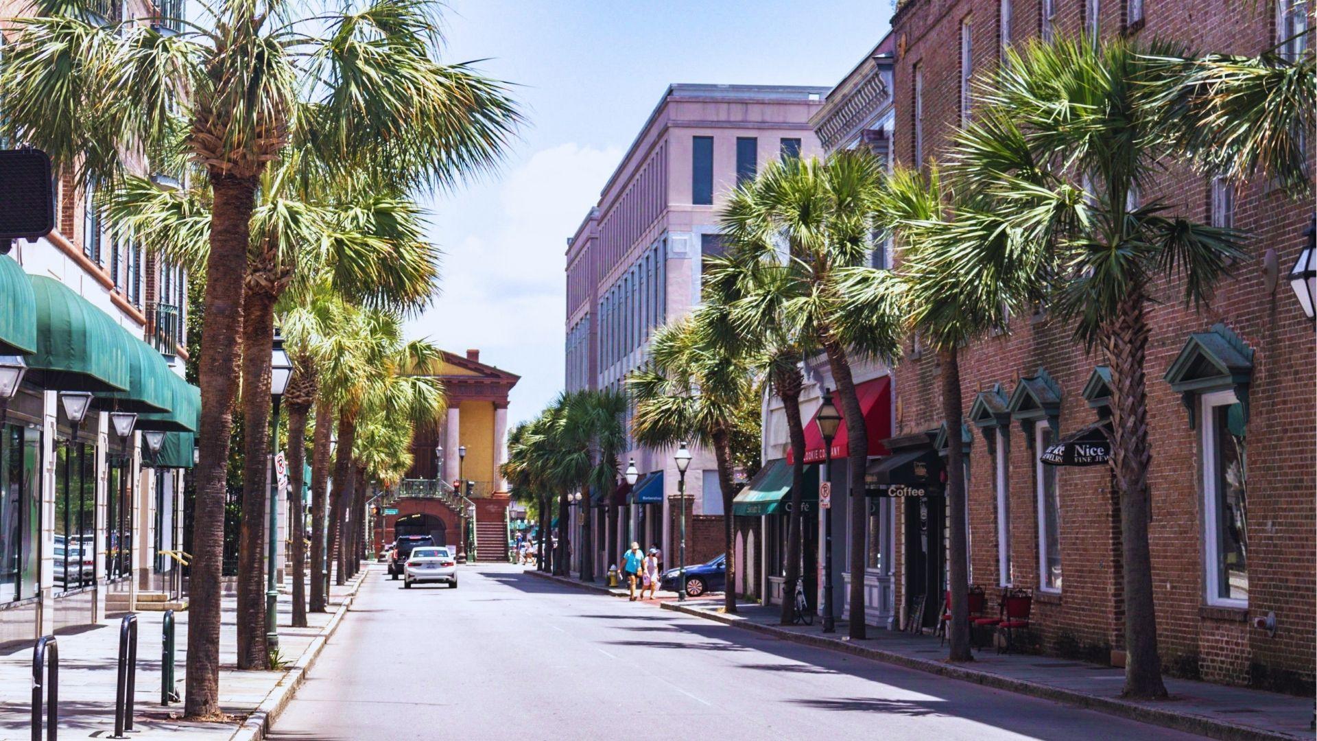Charleston street lined with tall palm trees, brick storefronts and historic architecture under blue sky.