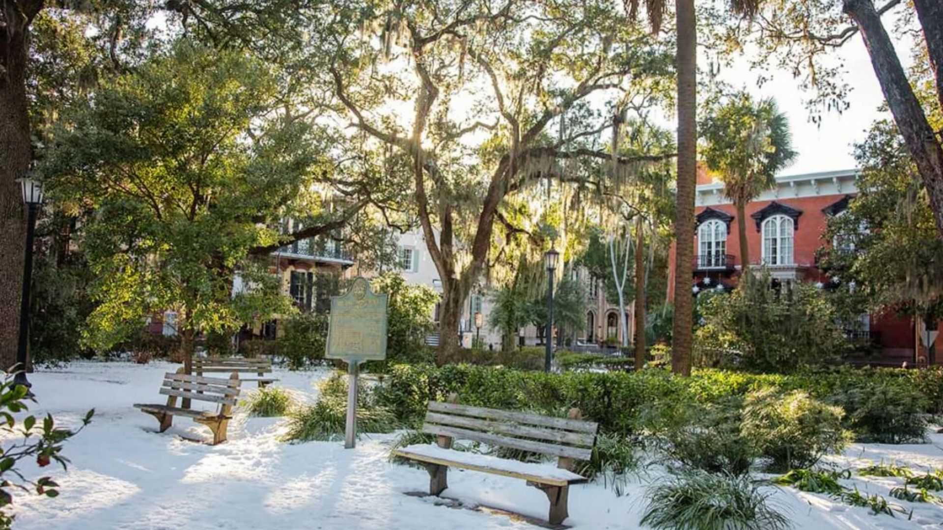 Monterey Square benches surrounded by historic homes and oak trees in Savannah