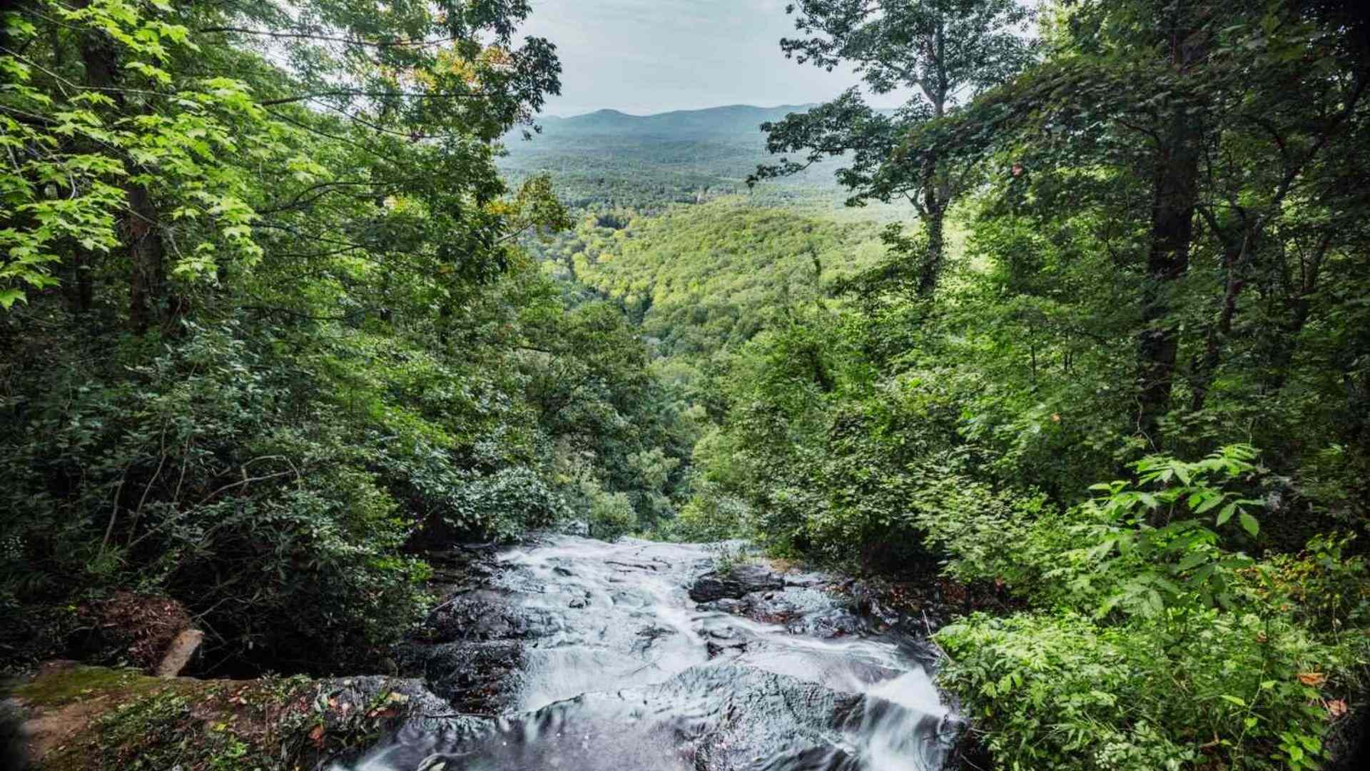 Why Visit Dahlonega, GA?